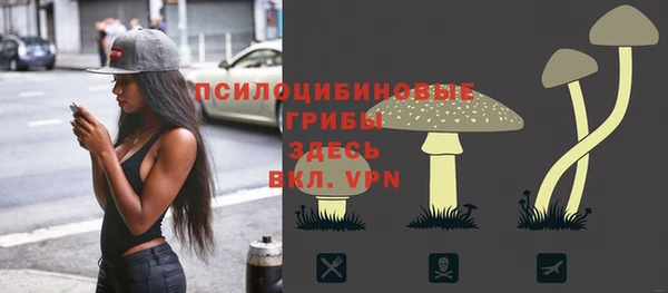 Альфа ПВП Горно-Алтайск