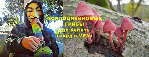 Альфа ПВП Горно-Алтайск
