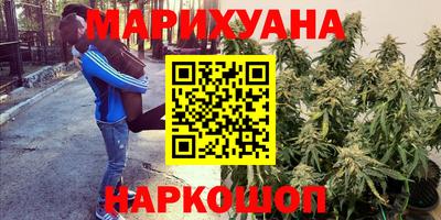 прущая мука Тара