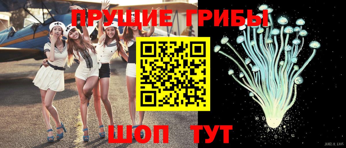 Галлюциногенные грибы GOLDEN TEACHER  Вход с VPN  Георгиевск 